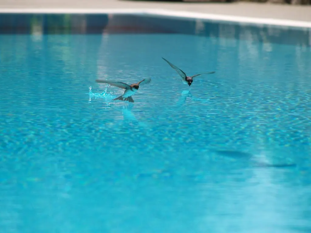 Borgo Caiano Country Inn Farm stay