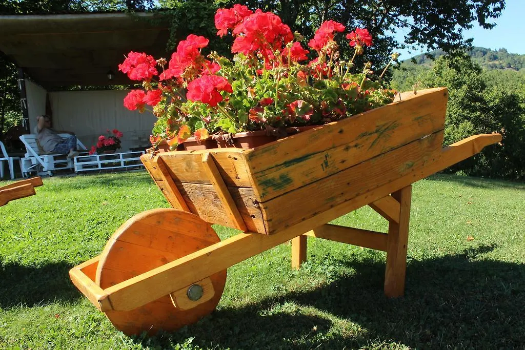 Alloggio per agriturismo Borgo Caiano Country Inn Italia